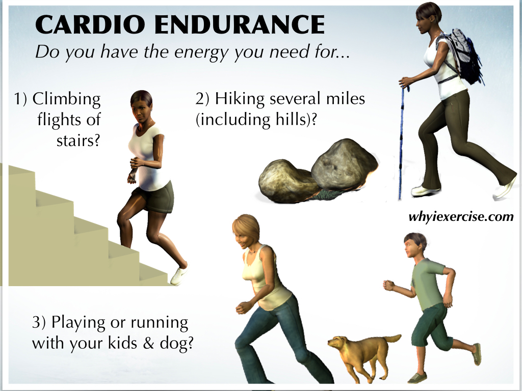 Get Cardio Workouts Sstamina Vs Endurance Images Cardio Workout At Home