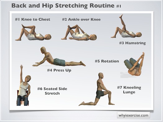 back stretch exercises