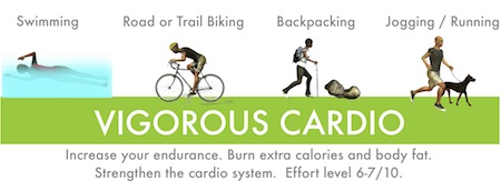 cardio vigorous exercise cardiovascular exercises fitness workouts aerobic exercising training vigorously endurance routine intense muscles once motivation workout