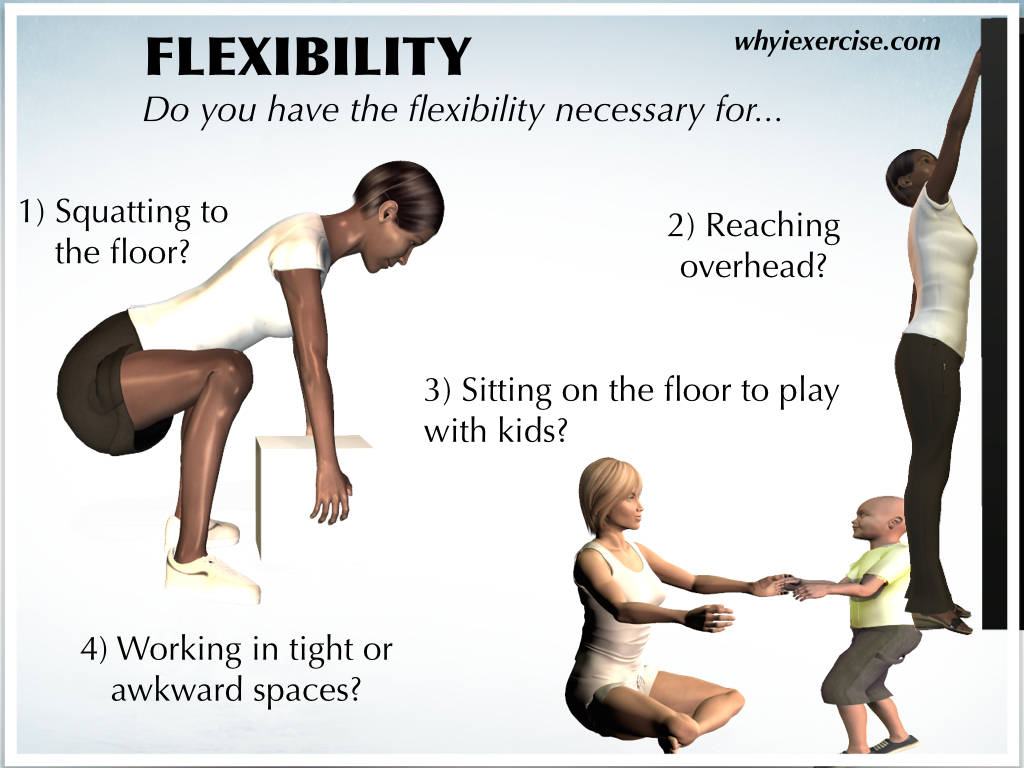 Examples Of Exercises For Physical Fitness Exercise Poster