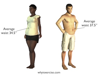 ideal waist measurement