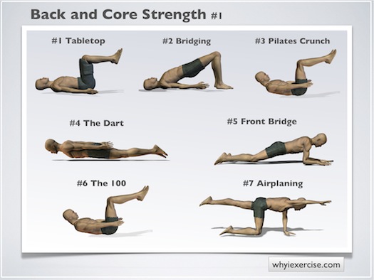 Back Strengthening Exercises Illustrated With Lifelike Figures