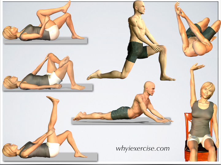 https://www.whyiexercise.com/images/back_stretching_exercises_intro.jpg