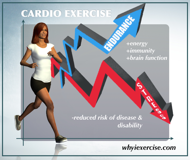 Aerobic exercise benefits
