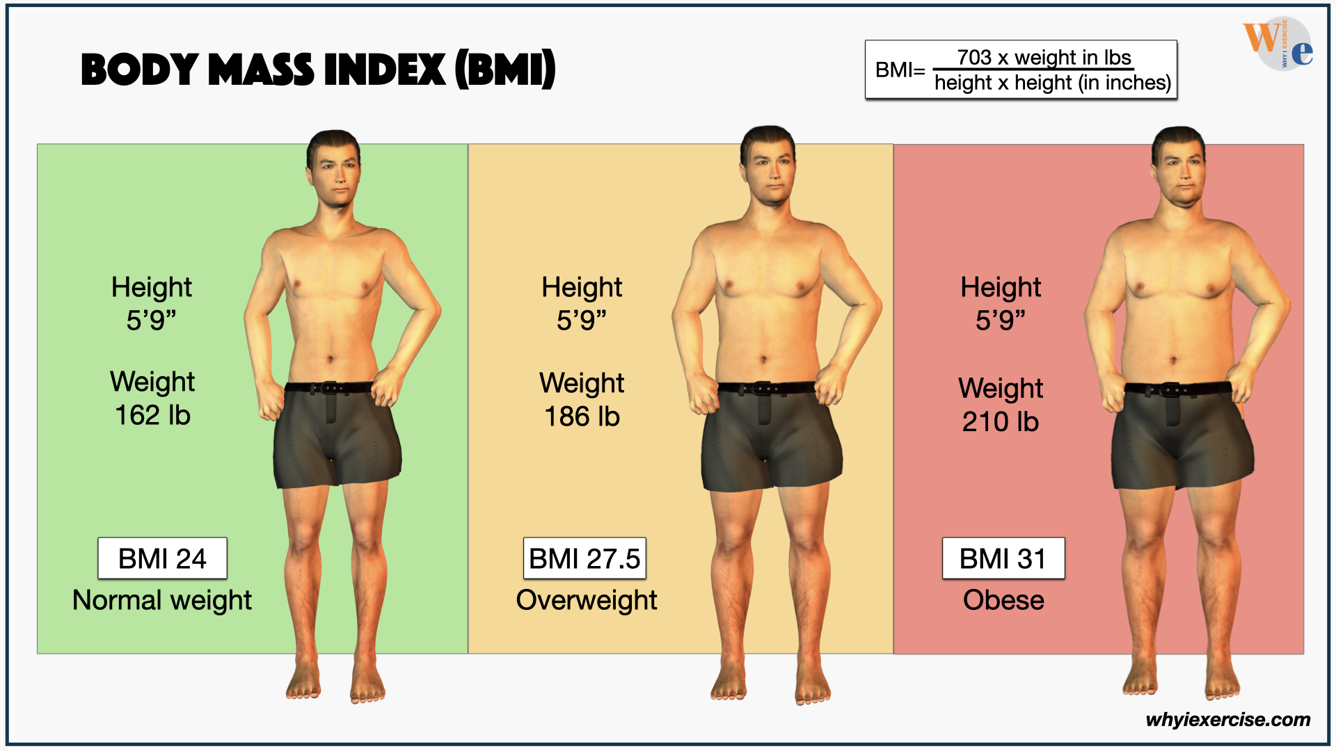 What Are The Body Mass Index BMI Standards For Overweight 48 OFF