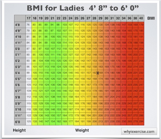 body mass index calculator for females