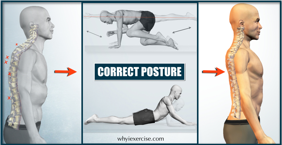https://www.whyiexercise.com/images/correct_posture_intro.jpg
