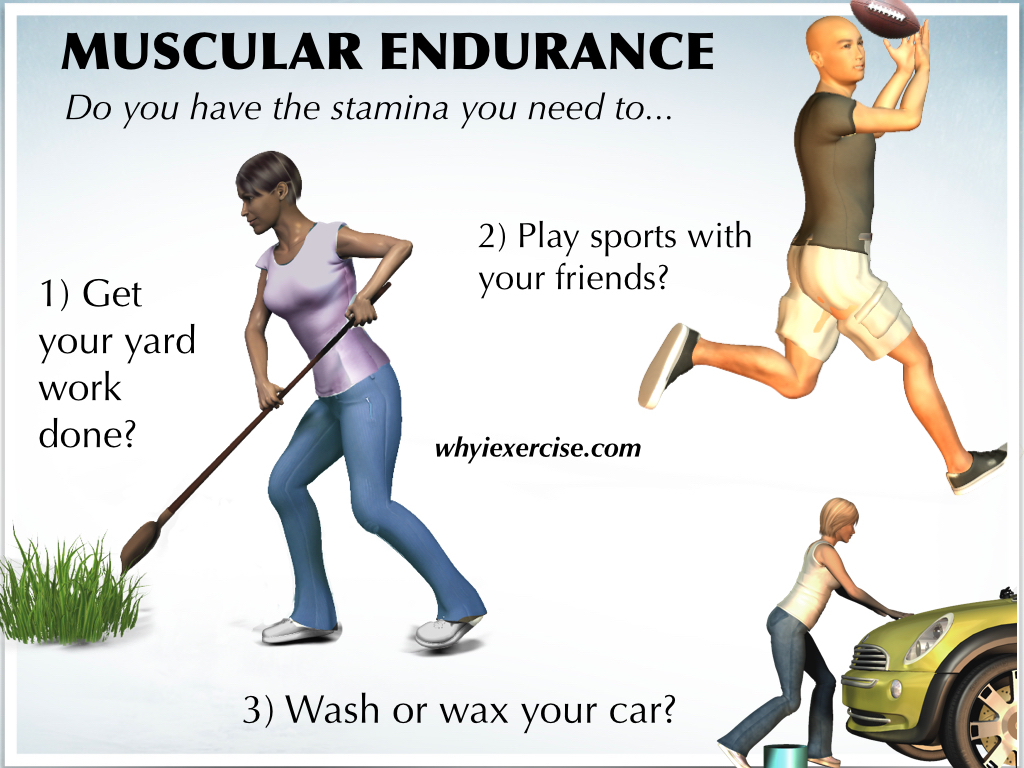 Definition Of Physical Fitness Measure Your Strength Endurance 