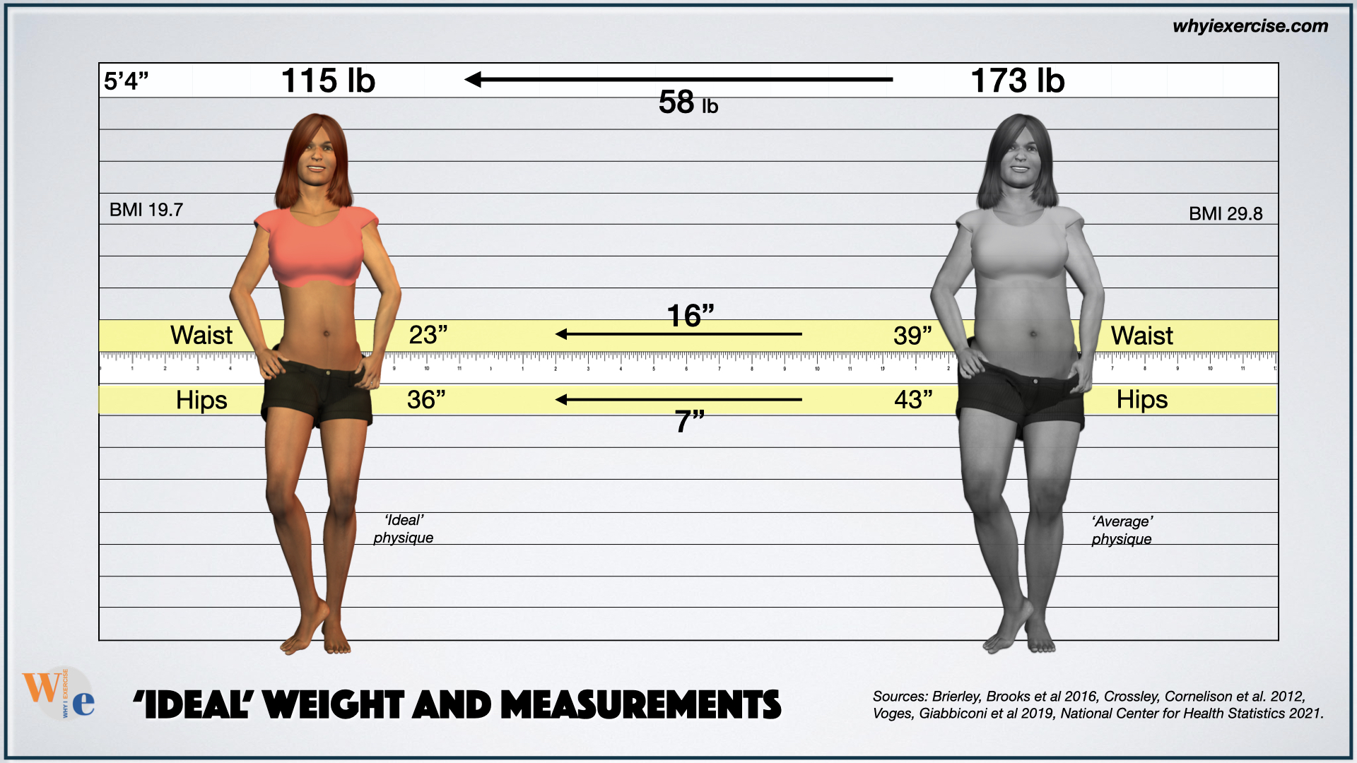 Are There Ideal Measurements for an Athletic Woman by Body Weight