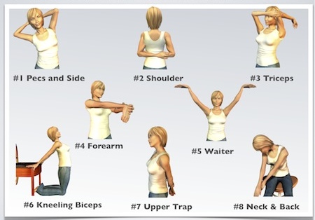 Shoulder Stretch  Illustrated Exercise Guide