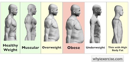 https://www.whyiexercise.com/images/research.obesity.body.types.jpg