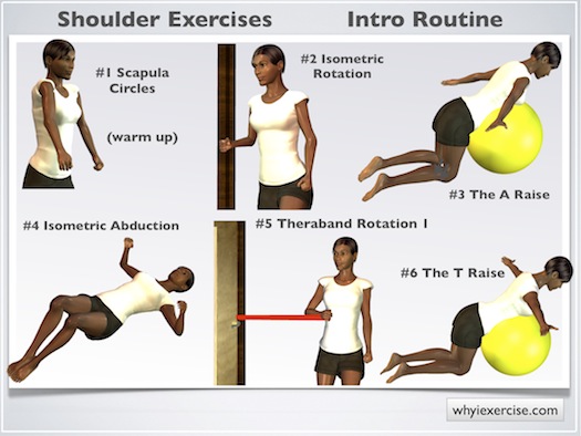 Beginner Shoulder Rehab Exercises for Scapular Stabilization and