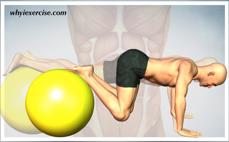 Stability ball exercises: videos and illustrations