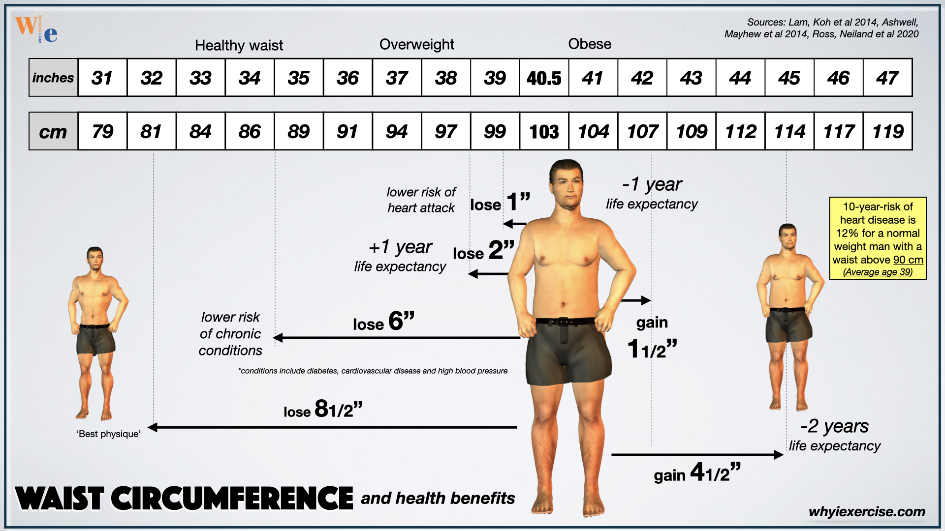 Waist circumference and fitness