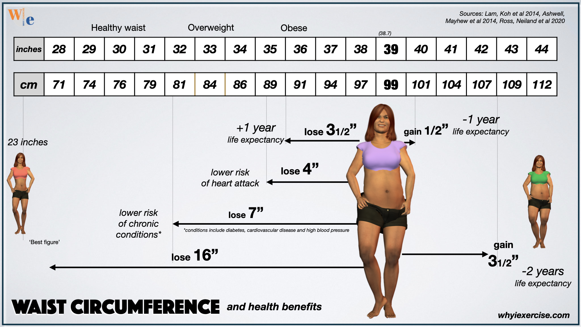 Waist circumference measurements and health indicators