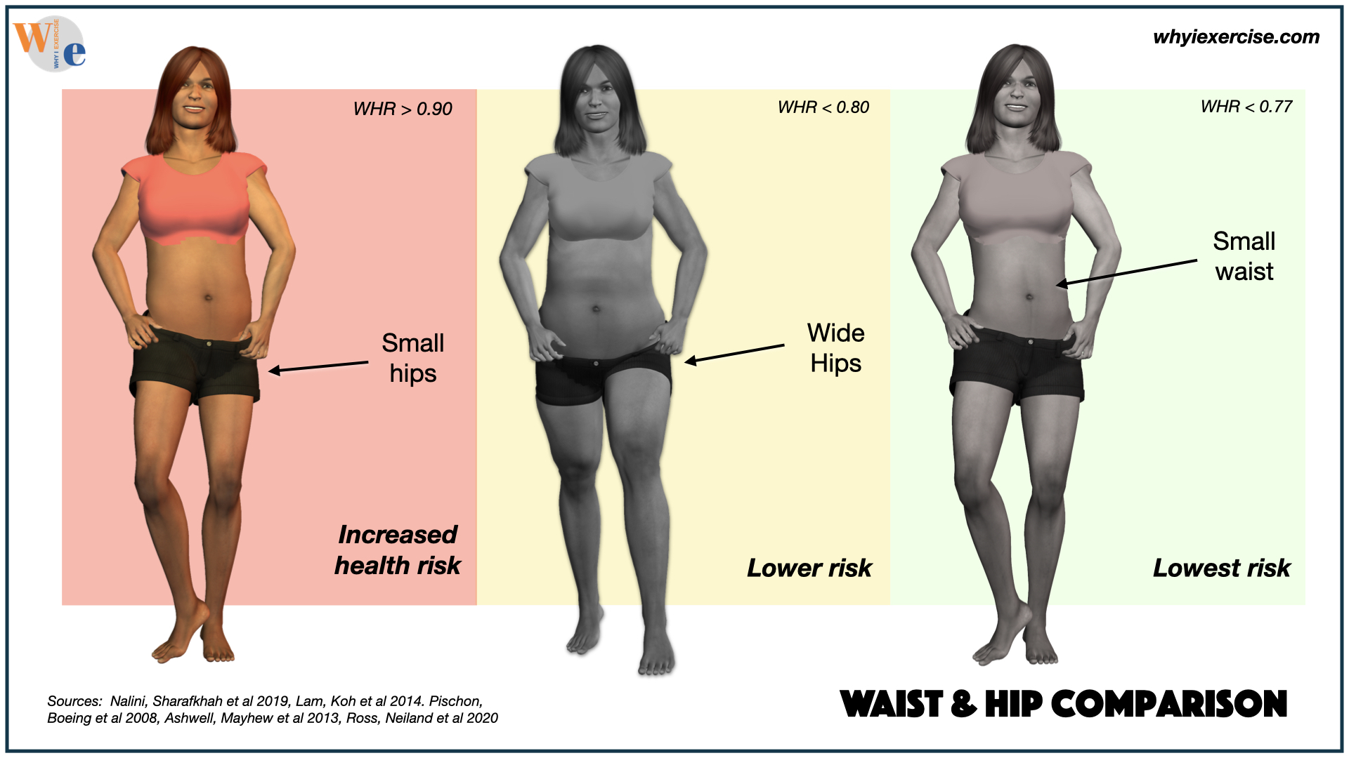 Effects of waist size on your health
