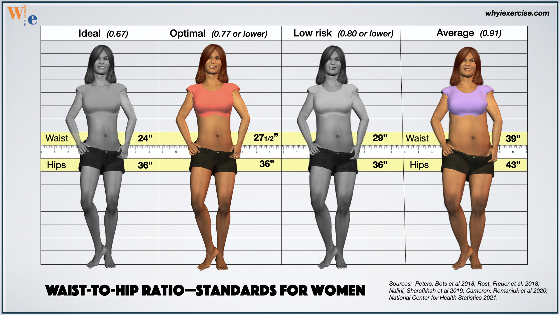 Waist-to-hip ratio and body symmetry