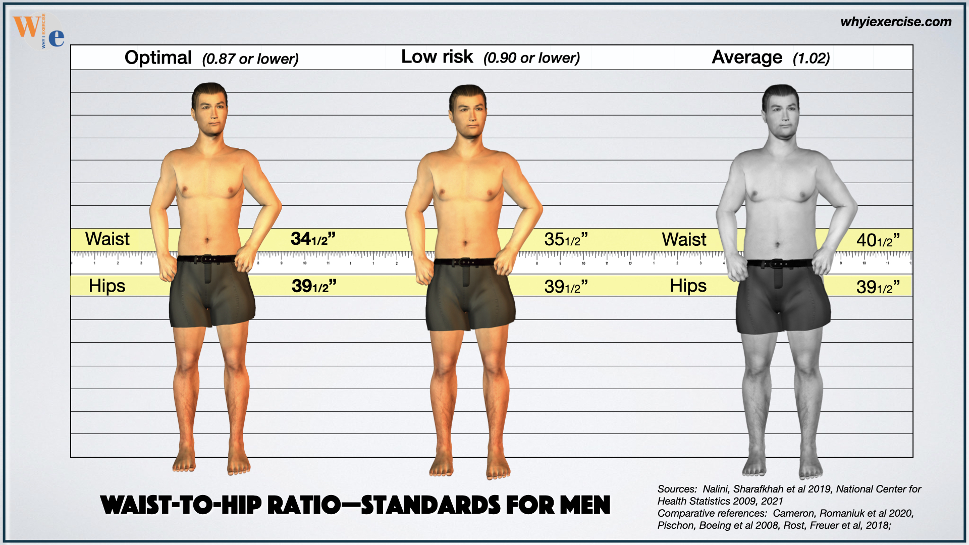 Waist-to-hip ratio and skin health